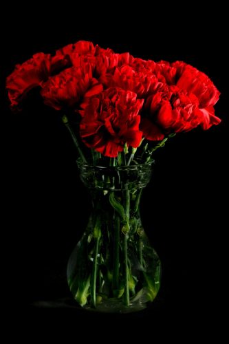 Reminder: NHS Carnations