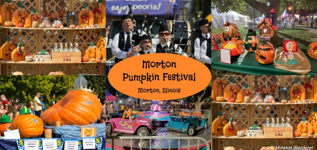 Pumpkin Fest: Morton's Annual Kick-Off to Fall