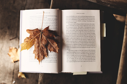 Fall into Reading: Book Recs