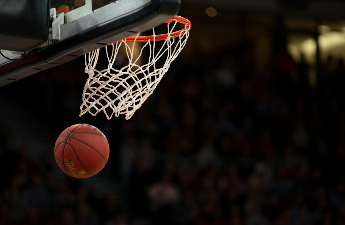 Basketball Open Gyms