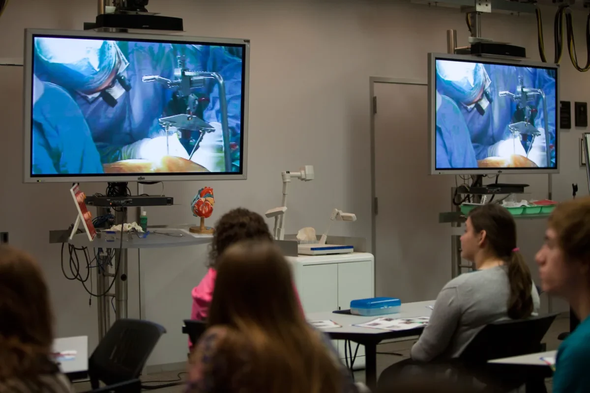 Live From the Heart: Dee-Mack's Virtual Field Trip