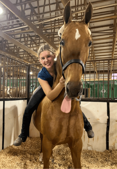 Beyond the Bell- Maryahna Schleich